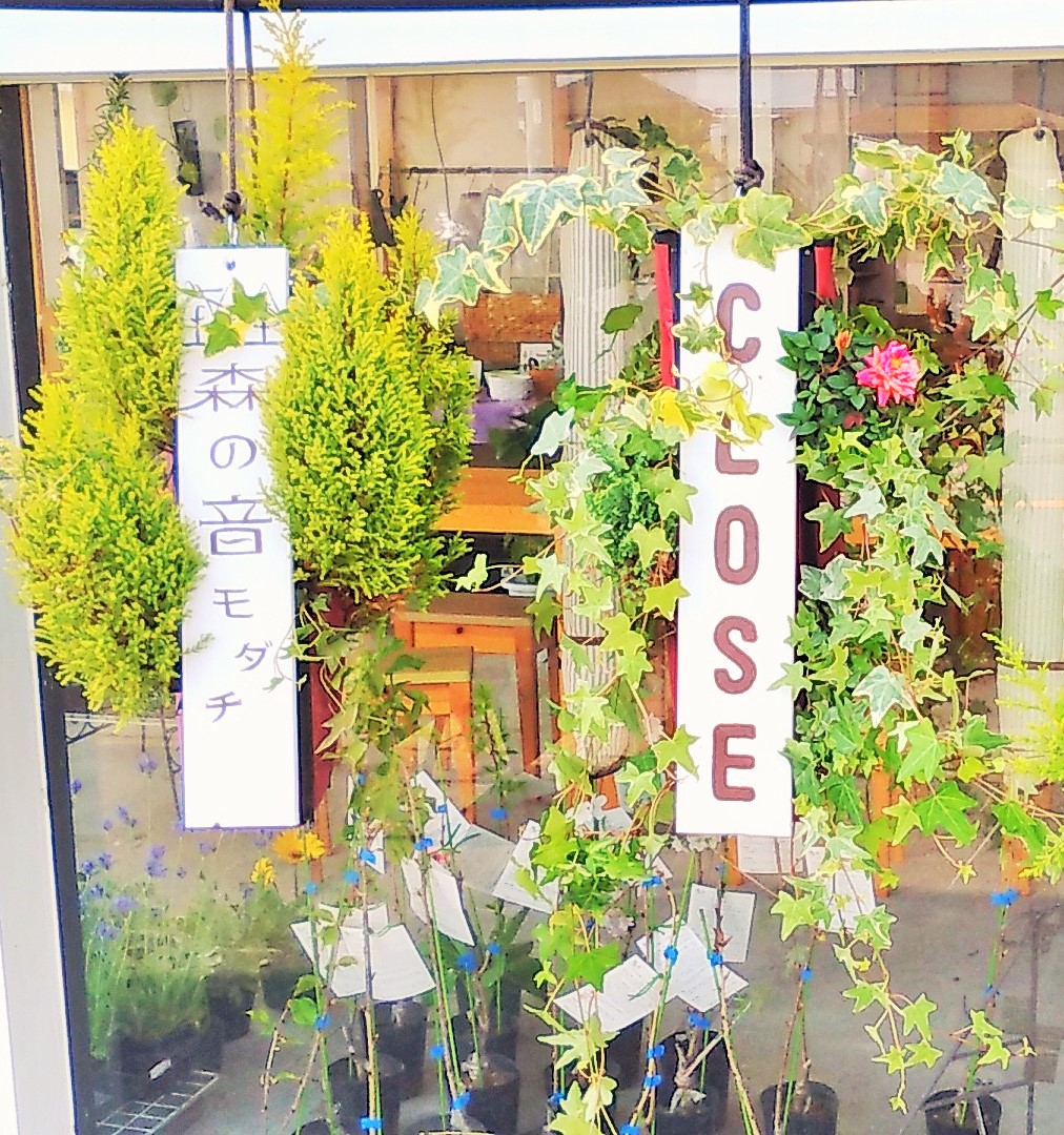 �Ή��Ŕ@�t�@�X�i�[�O���[��